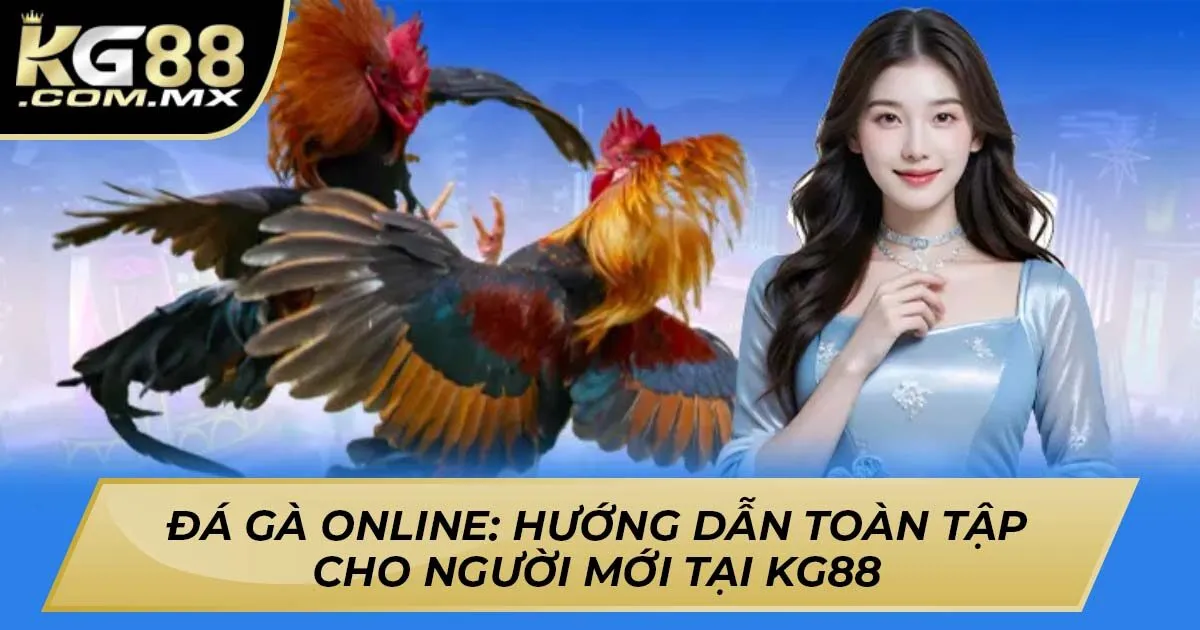 Mẹo và chiến thuật chơi đá gà online hiệu quả tại KG88