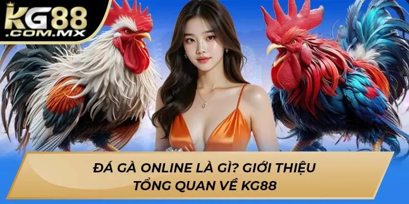 Đá gà online là gì? giới thiệu tổng quan về KG88