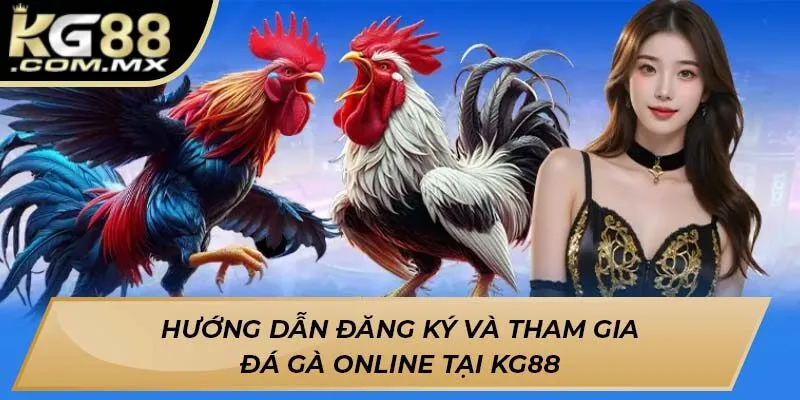 Hướng dẫn đăng ký và tham gia đá gà online tại KG88