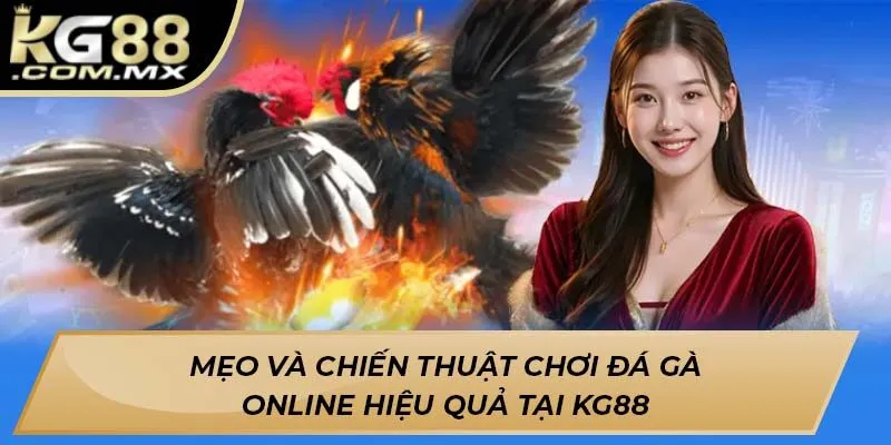 Mẹo và chiến thuật chơi đá gà online hiệu quả tại KG88
